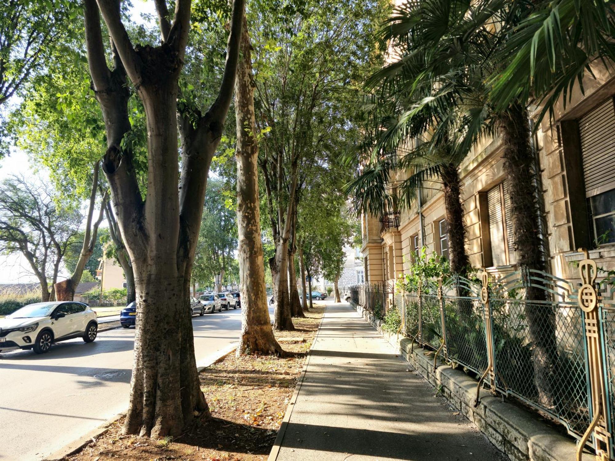 Villa Muenz Apartment Franz Pula Bagian luar foto